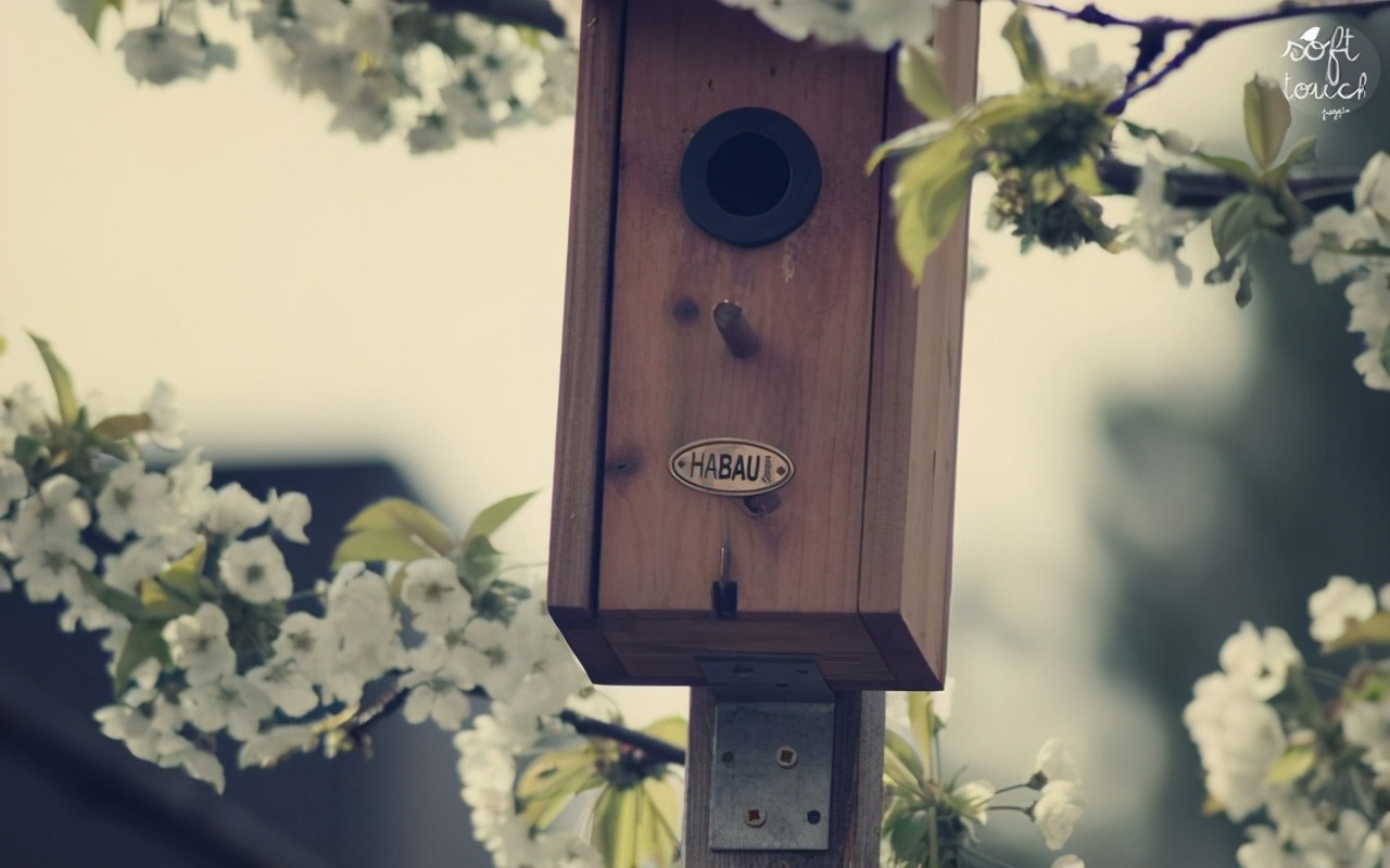 看着平庸其实有实力的星座,看上去没心机实际上有心机的星座