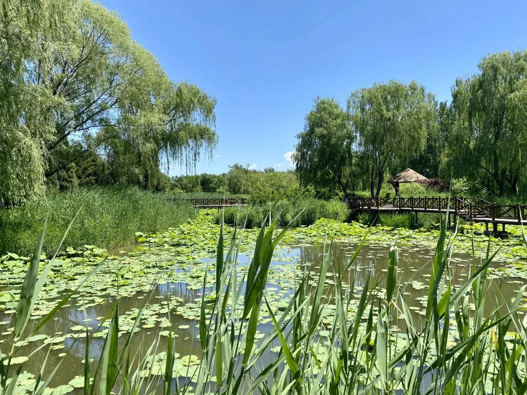 畅游通州大运河！神舟国旅携手103.9交通广播《百姓TAXI》邀请百名“的哥的姐”欢乐家庭游！