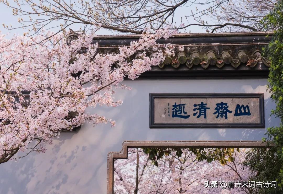 8首歌咏杏花唯美古诗词,春日游杏花吹满头陌上谁家年少