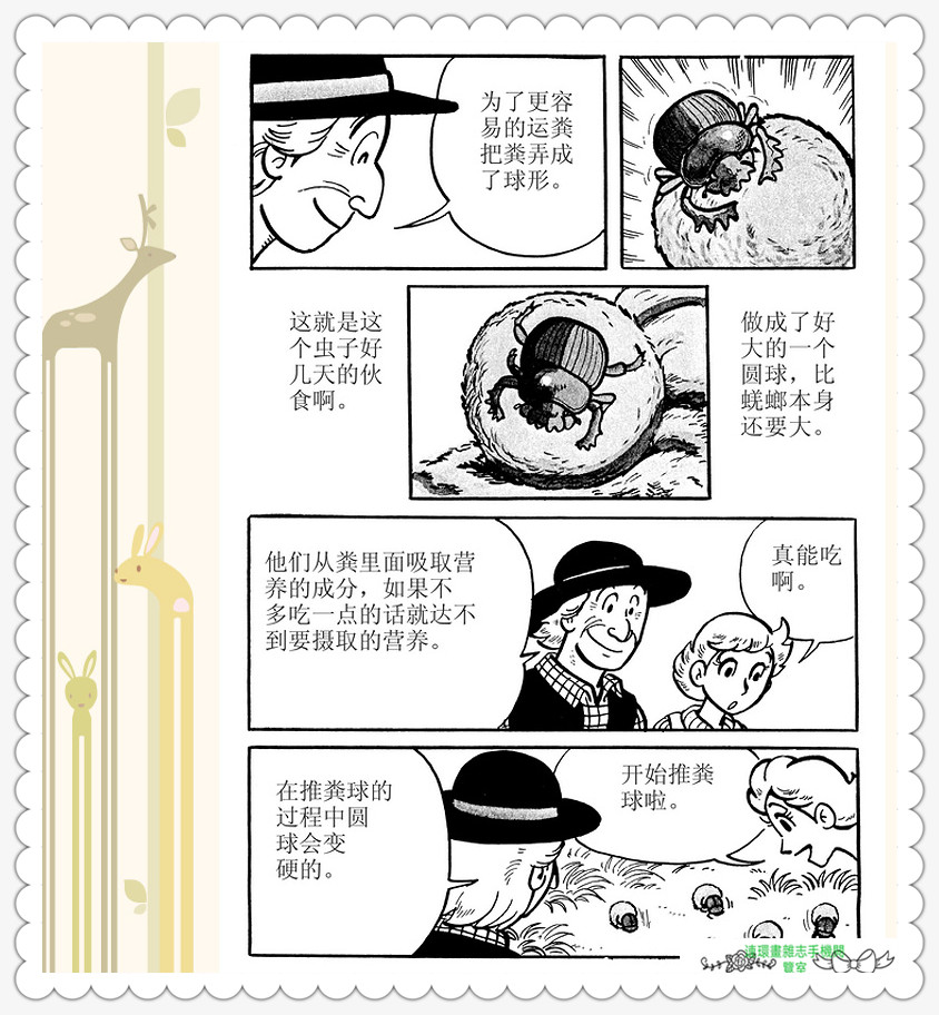 昆虫记法布尔正版全集,昆虫记法布尔阅读答案