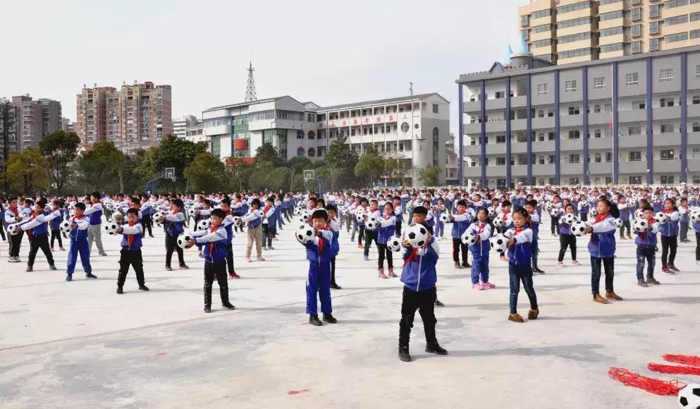 强强携手，武穴鄂州两所学校共探一件事⋯⋯