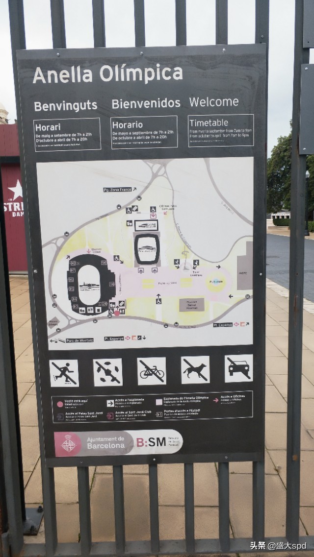 鐩涘ぇ涔嬫梾,鐩涘ぇ鏃呯▼