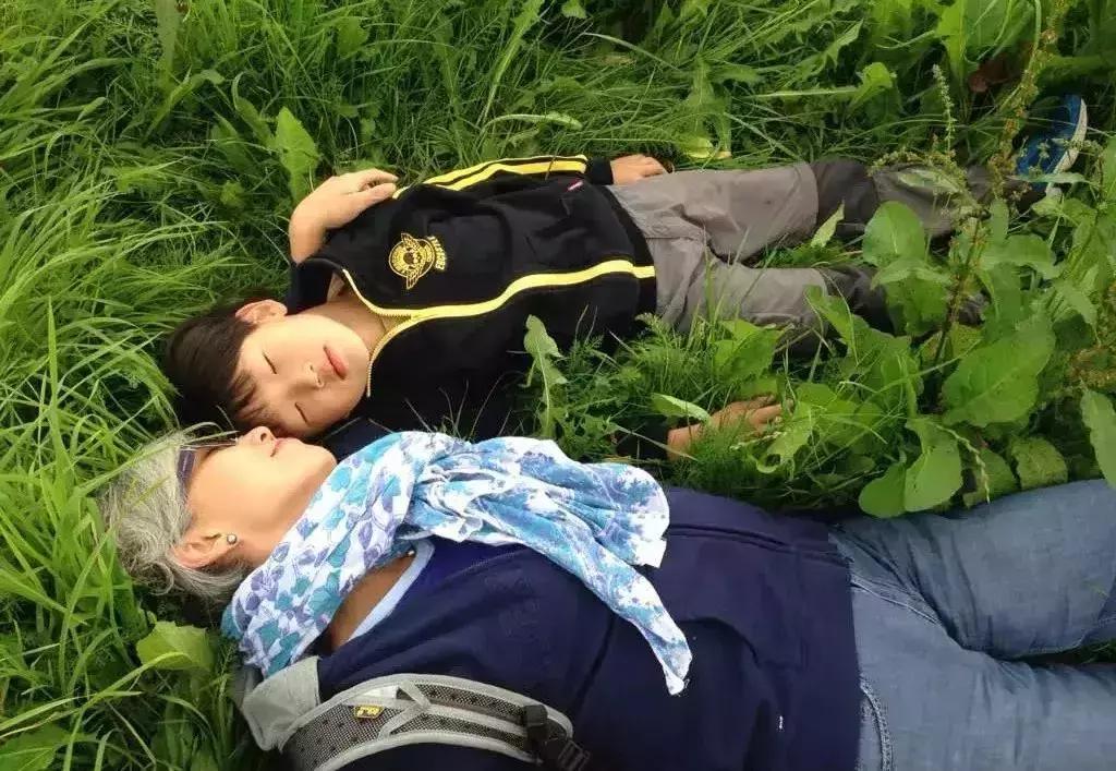 六年旅行者,国六旅行者