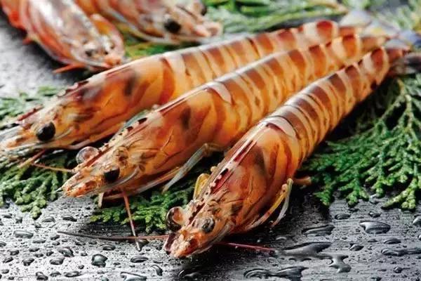 江户前菜品,江户前美食攻略