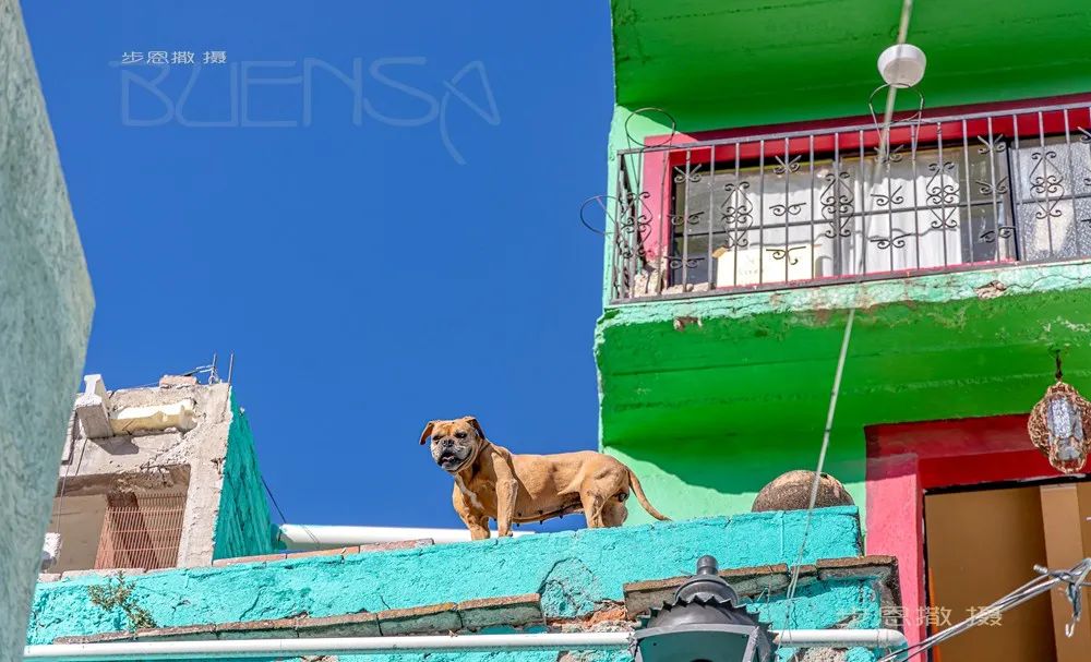 在闲逛中爱上这座城----瓜纳华托