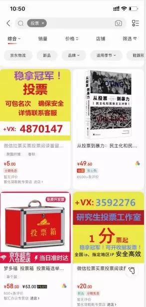 网络投票活动拉票,网络投票活动骗局