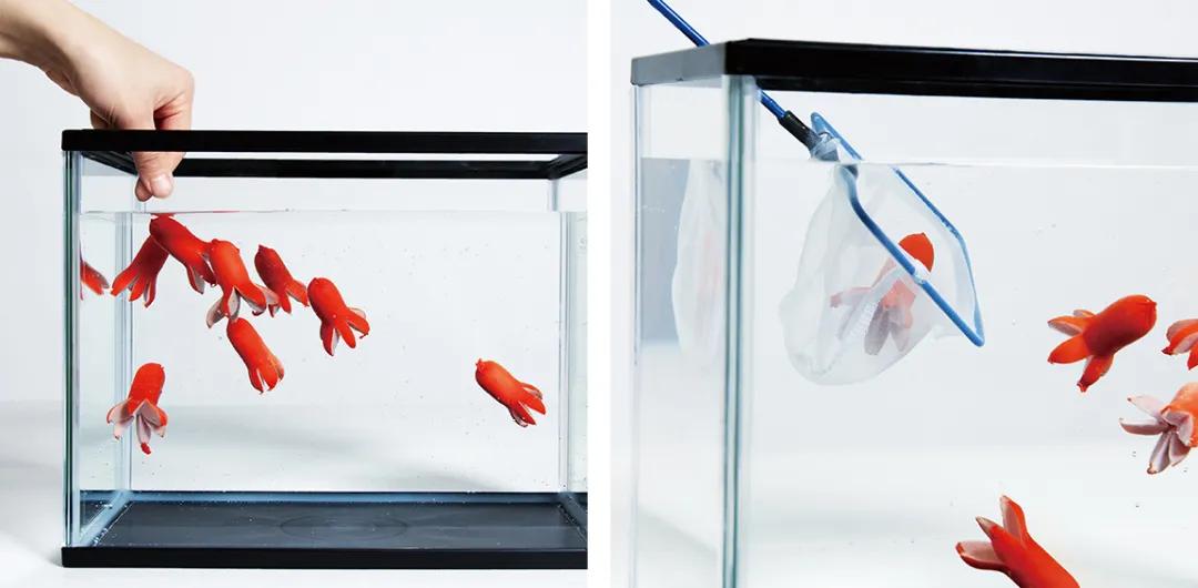 日本艺术留学毕业展,世界顶尖美院作品