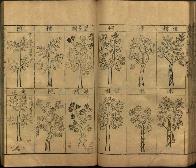 李时珍本草纲目书目录,李时珍本草纲目下卷