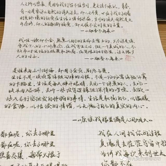 钢笔测评推荐中高端,钢笔测评好的钢笔适合小学生