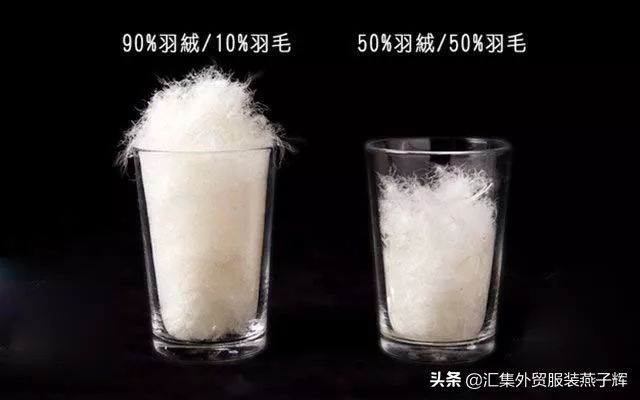 world of moncler羽绒服 (moncler羽绒服为什么这么贵)