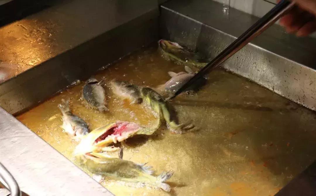 16道经典鱼类菜,这几道最美味的家常菜赶紧来做吧