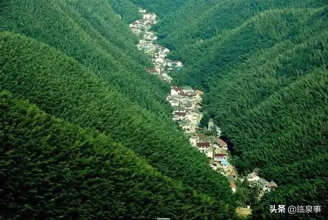 最新安徽61县市经济实力排行榜!临泉排名前列!