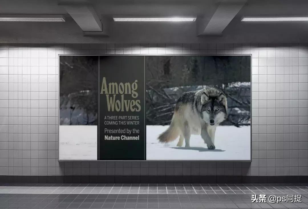 jpg图片批量裁切,如何快速批量裁切图片