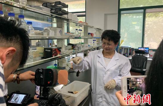 抑郁症的最新研究成功案例,抑郁症的最新研究成果