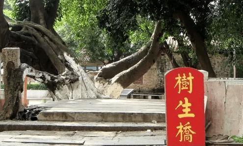 深圳周边城市自驾游五天,深圳周边三天两夜自驾旅游推荐