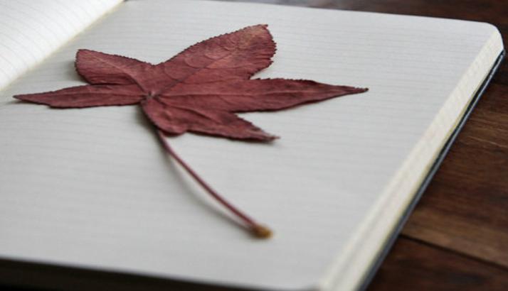 论文参考文献格式一键搞定,英文论文参考文献格式