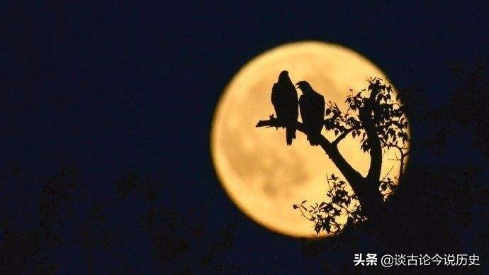 但愿人长久共婵娟婵娟指的是什么,但愿人长久千里共婵娟中的婵娟指