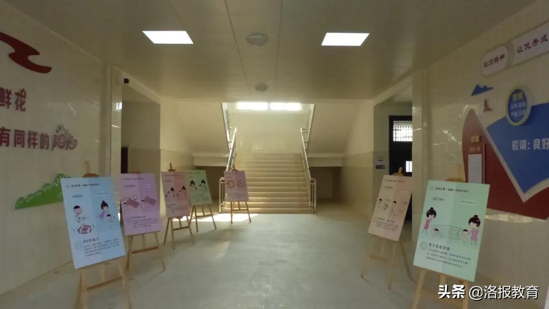 洛阳洛龙区有哪些小学,2019年洛龙区新建小学