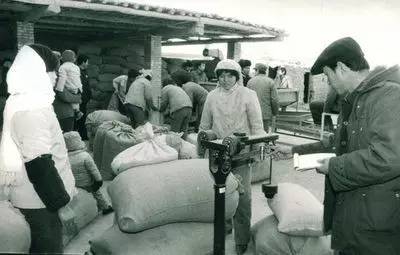 交公粮的农民老照片,农村交公粮老照片