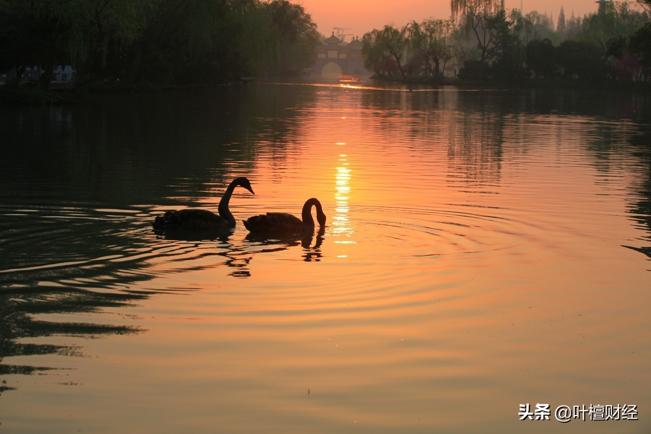 中海基金最新消息,中海基金最新信息