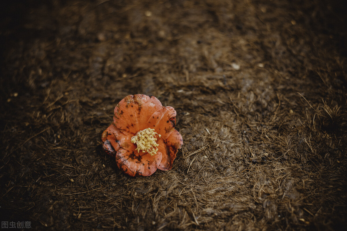 赞美老师的古诗词20首简短,赞美老师的五言古诗100首