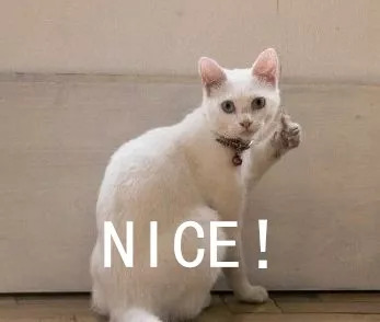 2023年百强会计师事务所排名,百强会计师事务所