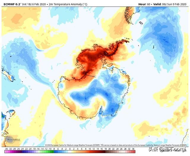 全球变暖南极为什么越冷,企鹅在南极为什么不被冻死