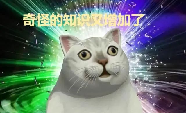 罗非鱼塞进直肠多长时间,罗非鱼直肠