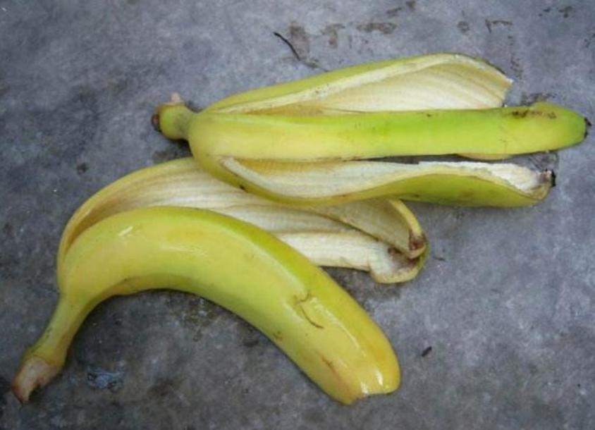 淘米水浇花杀菌问题,淘米的水浇花真的有好处