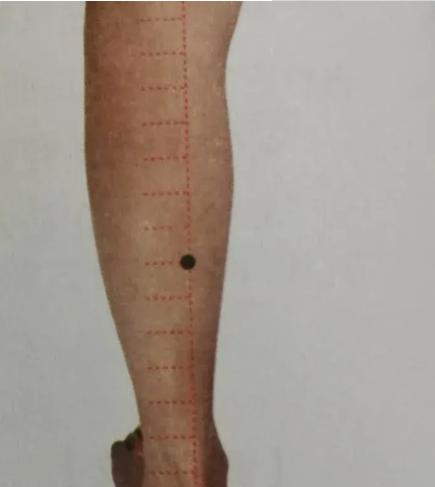 董氏搏球穴的准确位置图,董氏奇穴七十二绝针出自哪里