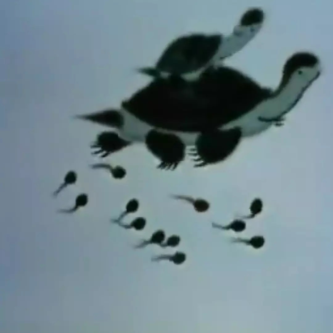 上海美术电影制片厂有哪些电影,上海美术电影制片厂近年作品