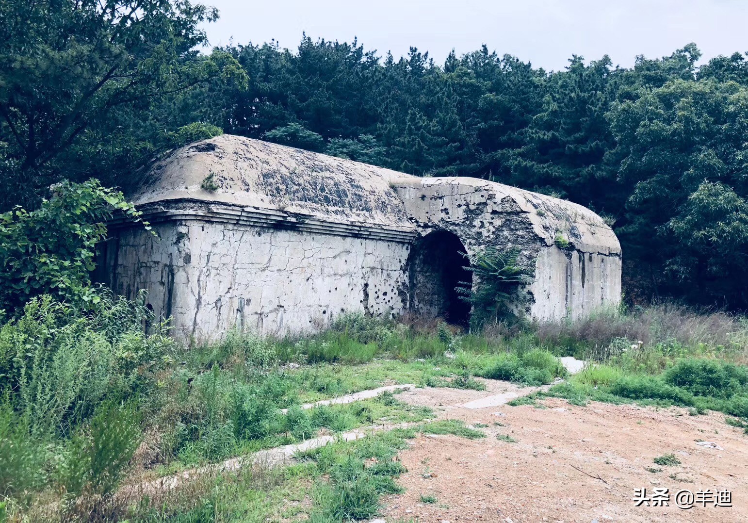 100平、海景、市中心、1000元/月，它才是最适合养老的滨海小城