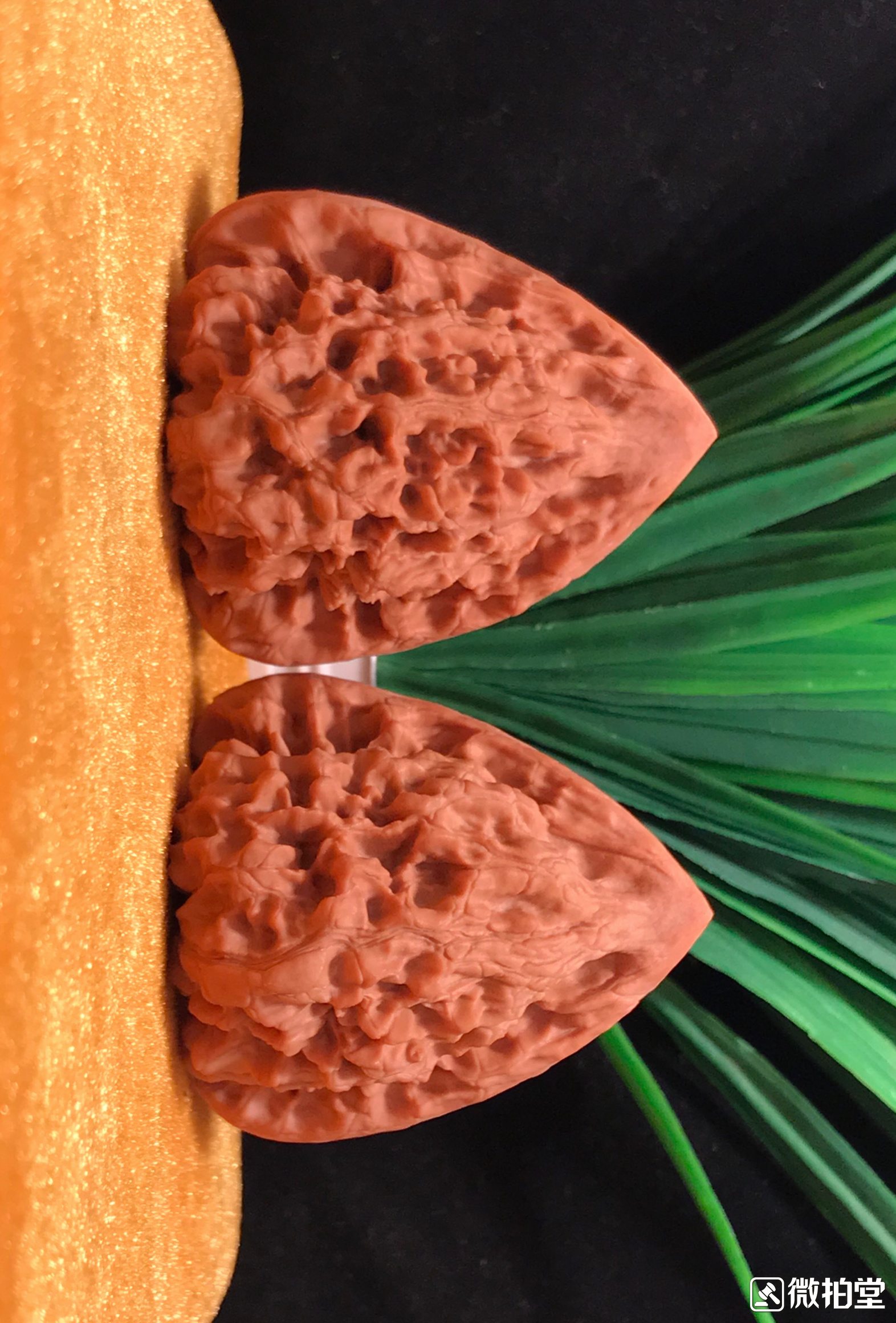 文玩核桃蛤蟆头产地,文玩核桃产地哪里的最好