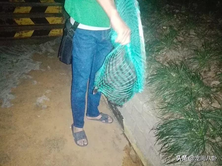 致每一位爱宠人，请了解下困难重重的TNR