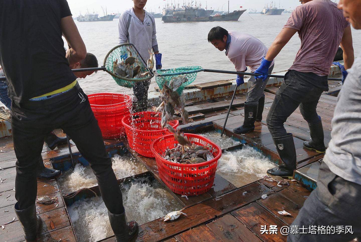 浙江舟山空气最好的城市,舟山未来15天空气质量指数