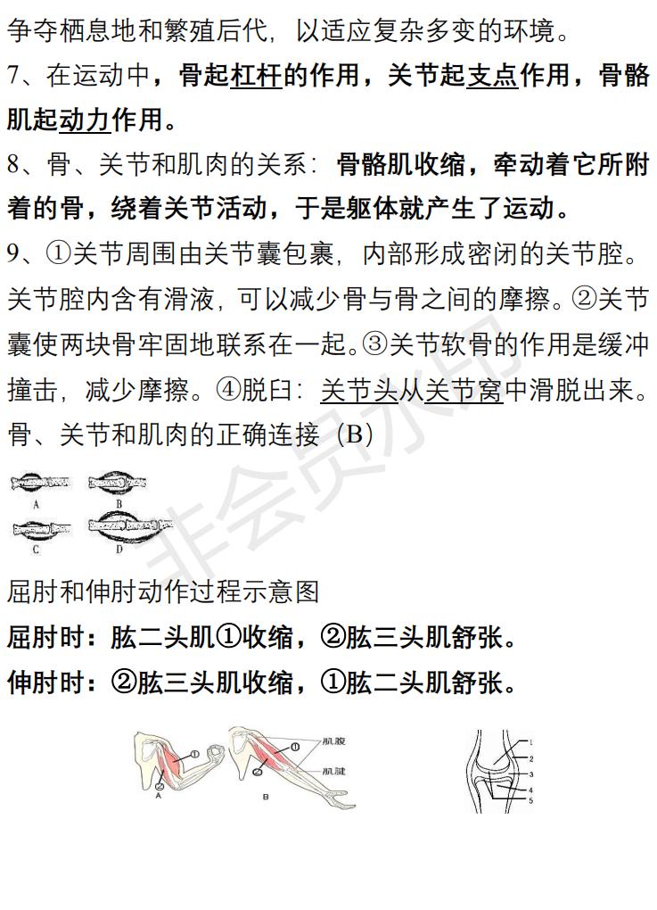 八年级生物知识点总结试卷,八年级生物上册必背知识点归纳