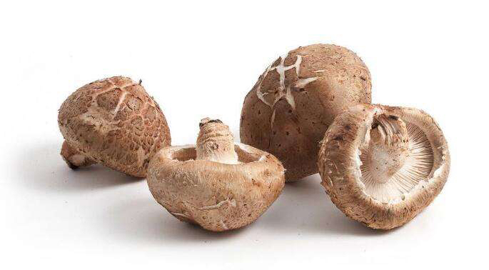 中草药香蕈,香蕈的营养价值及功效