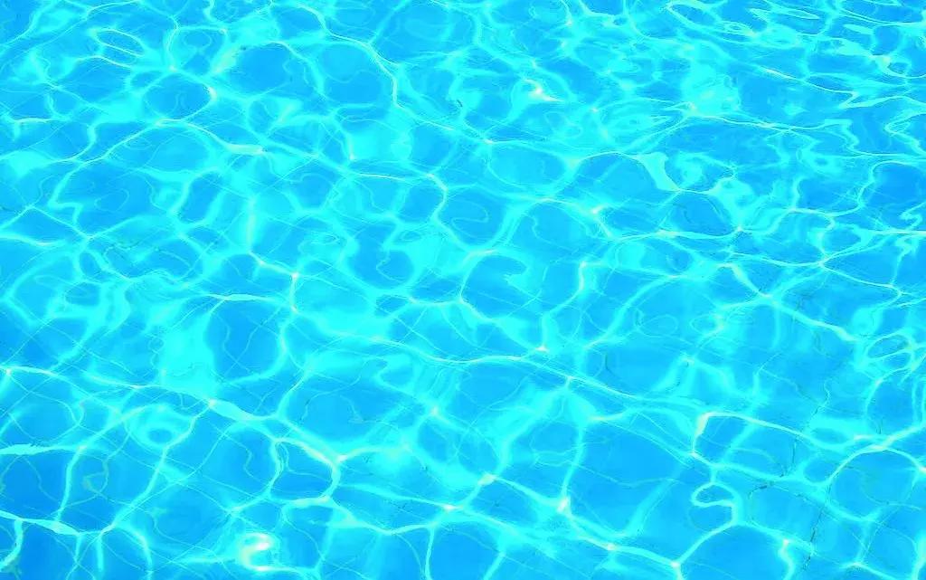 听说过斑马、斑点狗,你听说过斑点湖吗?