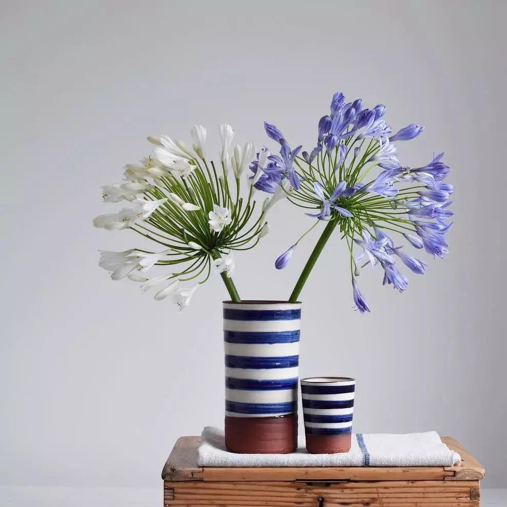 可以在室内燃放的烟花爆竹,植物烟花可以放室内吗