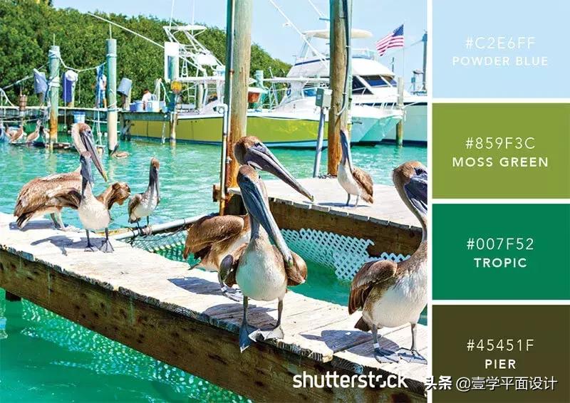 设计师钟爱的9组高级感配色方案,家装设计师配色方案色卡