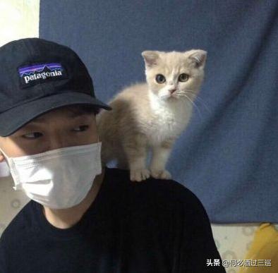 男生发“快睡吧”，回嗯嗯太low了，小野猫教你“撩爆”他哟~