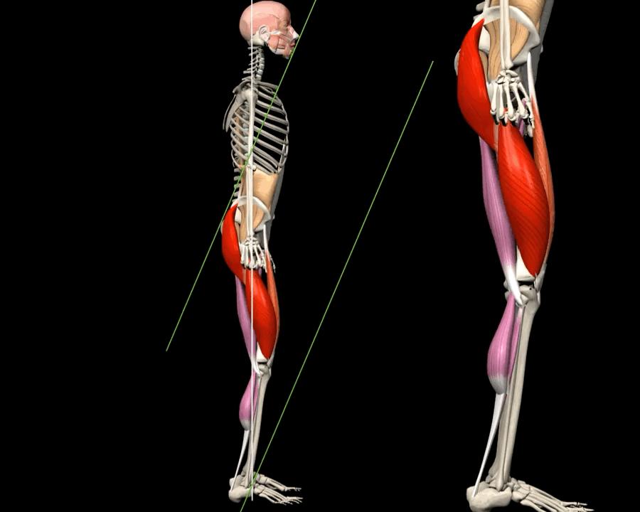 老年人蹲不下怎样锻炼,老年人蹲不下去了怎么办