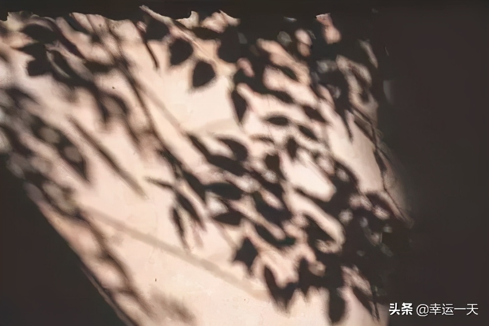 青涩时光——我和H大不得不说的故事（四）小说连载