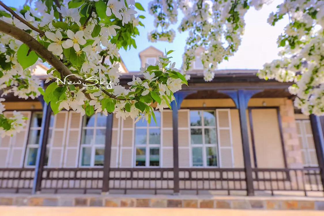 烟台张裕酒庄参观推荐,烟台打卡网红景点月亮湾