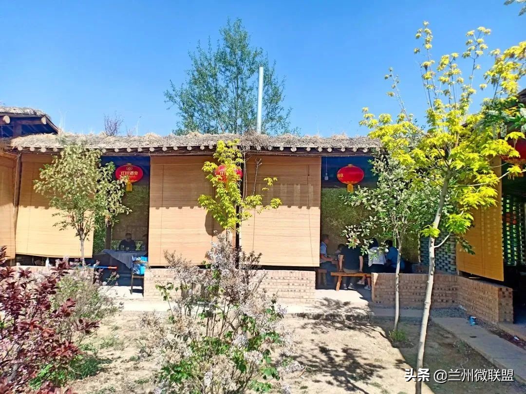 杏林湖黑天鹅,五一假期观光兰州