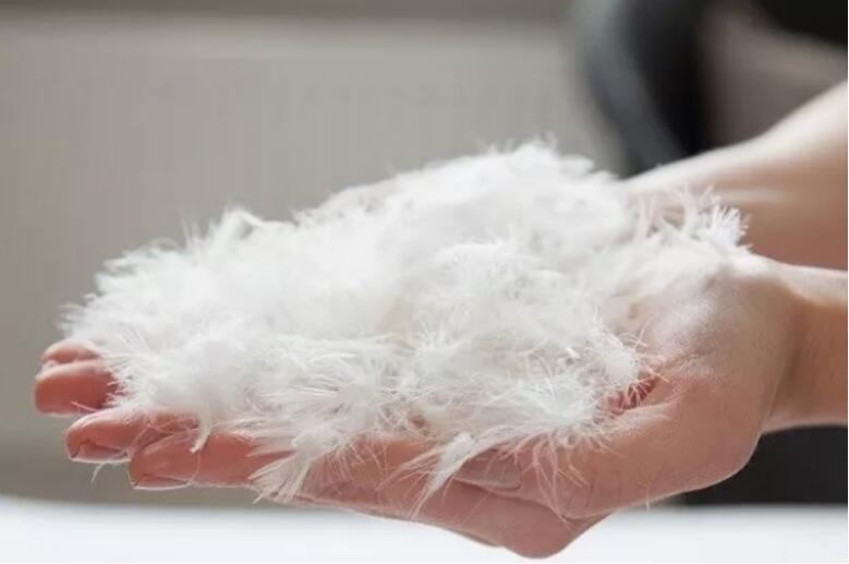 都说鹅绒贵为什么售价比鸭绒便宜,加拿大鹅和蒙克羽绒服哪件比较好