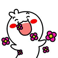 2020宁夏一日游旅游景点推荐,银川一日游最佳地方宁夏海洋公园