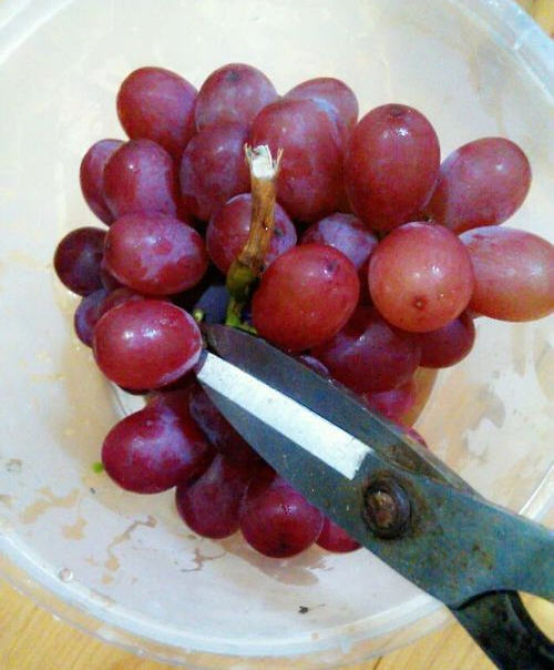 提子清洗方法没有面粉,提子清洗方式