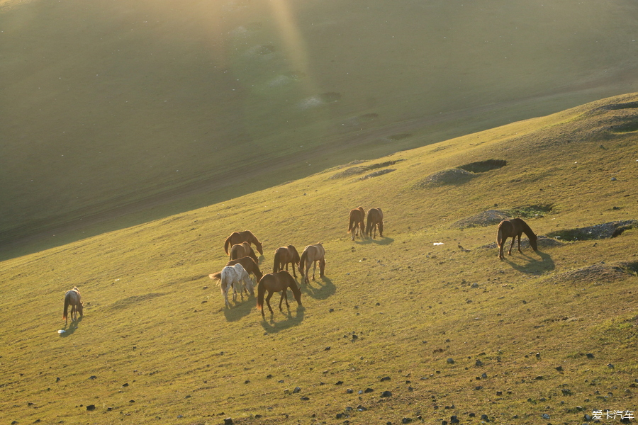 自驾囧途时刻,自驾游闯关东视频