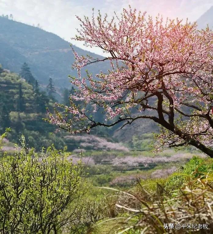 菜校也有春天！这所学校悄悄逆袭，竟然还没溢价？